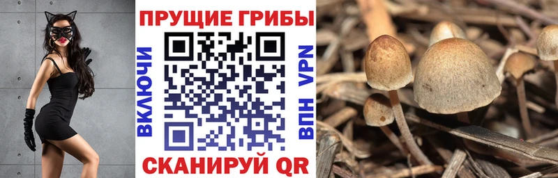 Галлюциногенные грибы Magic Shrooms  Купить где  Биробиджан 